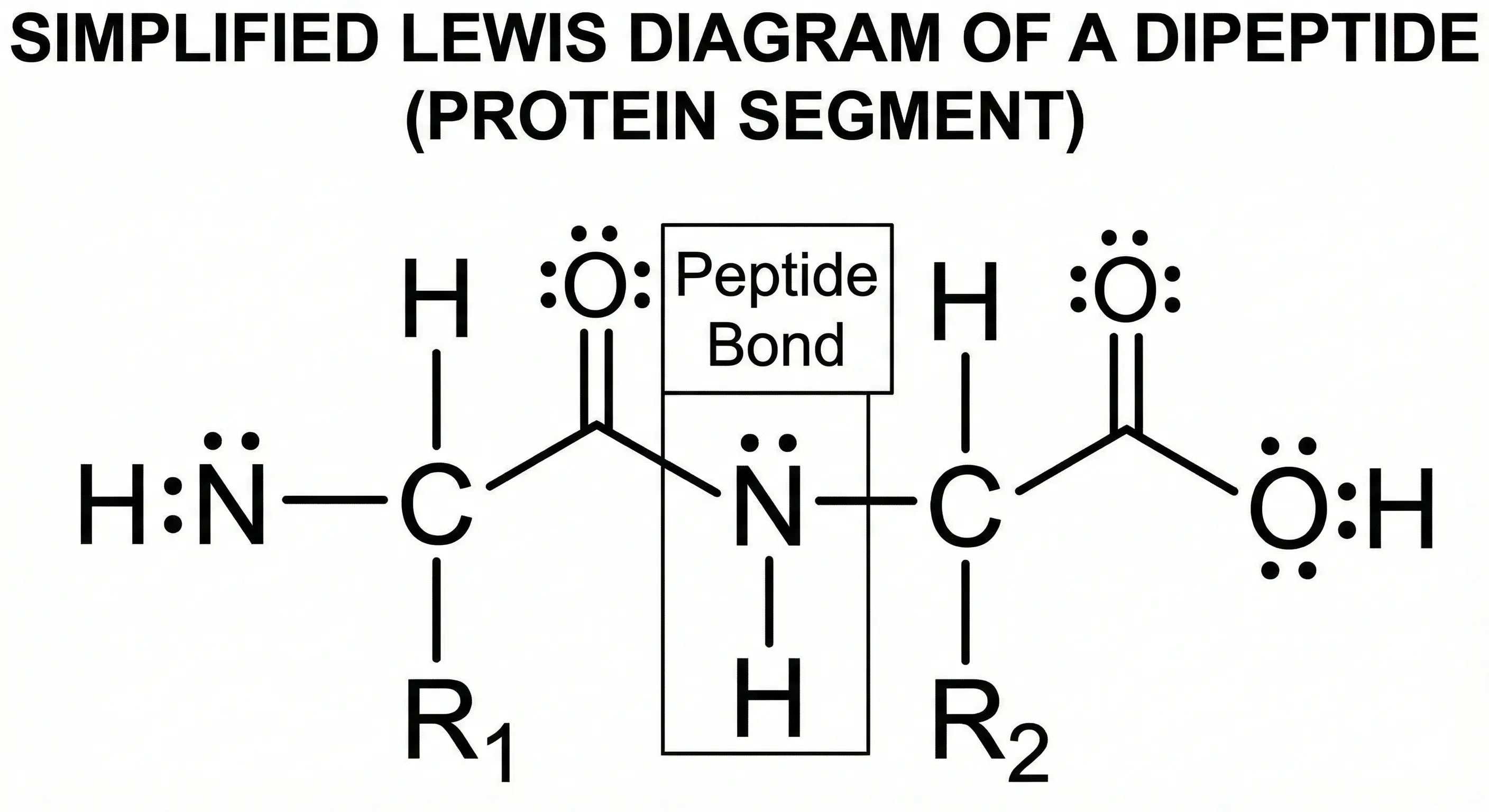 Chemical Structure Lewis Diagram