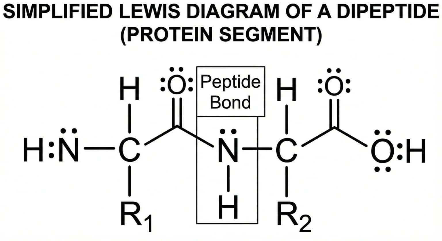Lewis structure diagram showing molecular bonds and electron distribution