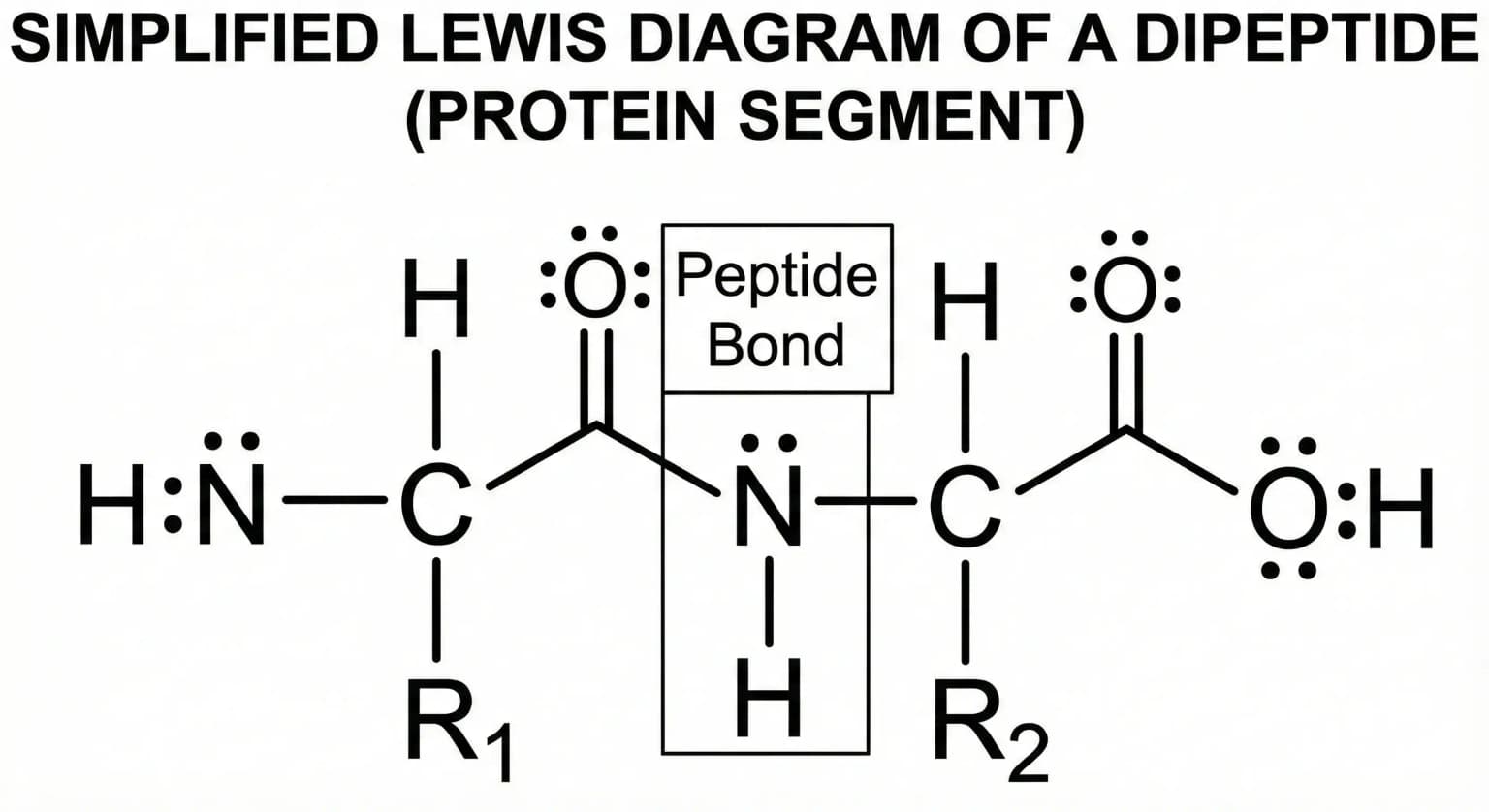 Lewis Diagram example